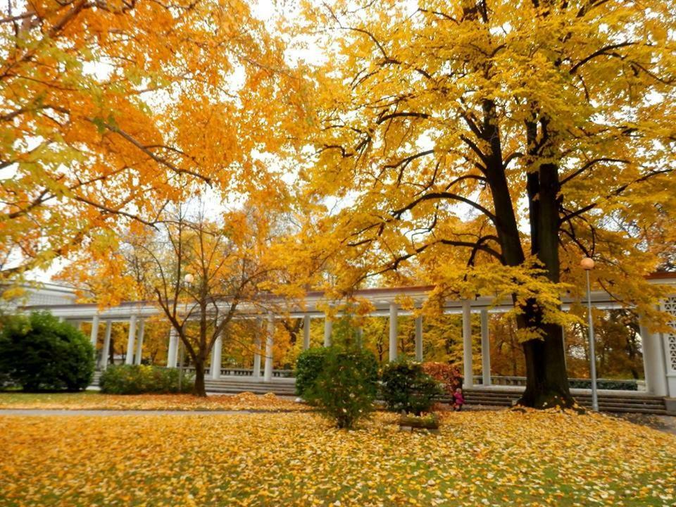 Апартамент 13 Hisarea Exterior foto